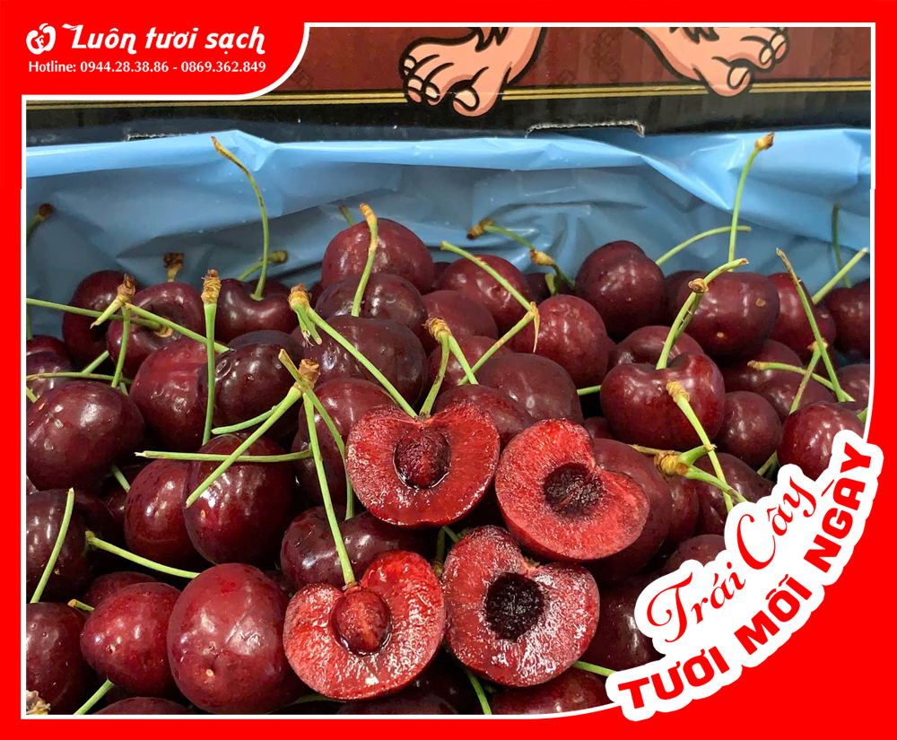 Cherry đỏ Mỹ sz 8.5